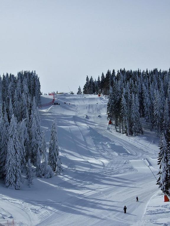 L&N Apartmani Kopaonik-Milmari Resort Exterior photo