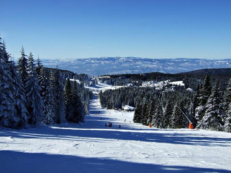 L&N Apartmani Kopaonik-Milmari Resort Exterior photo